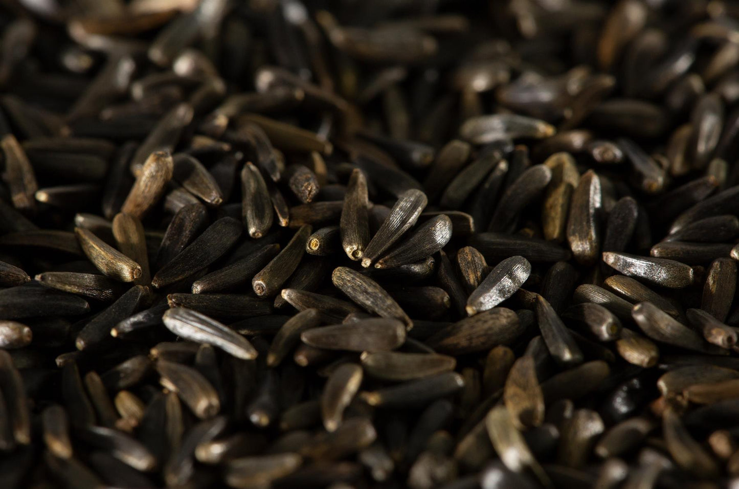 Chubby Nyjer Seed - 20kg