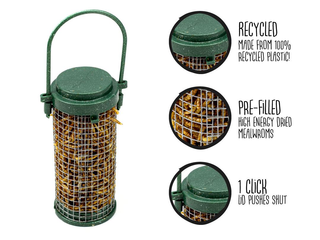 Chubby Pre-Filled Mealworm Recycled Feeder
