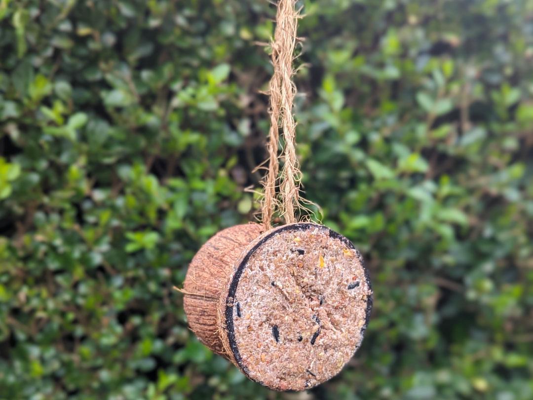 Chubby Dual Half Filled Coconut Feeder Mixed Seed & Berry