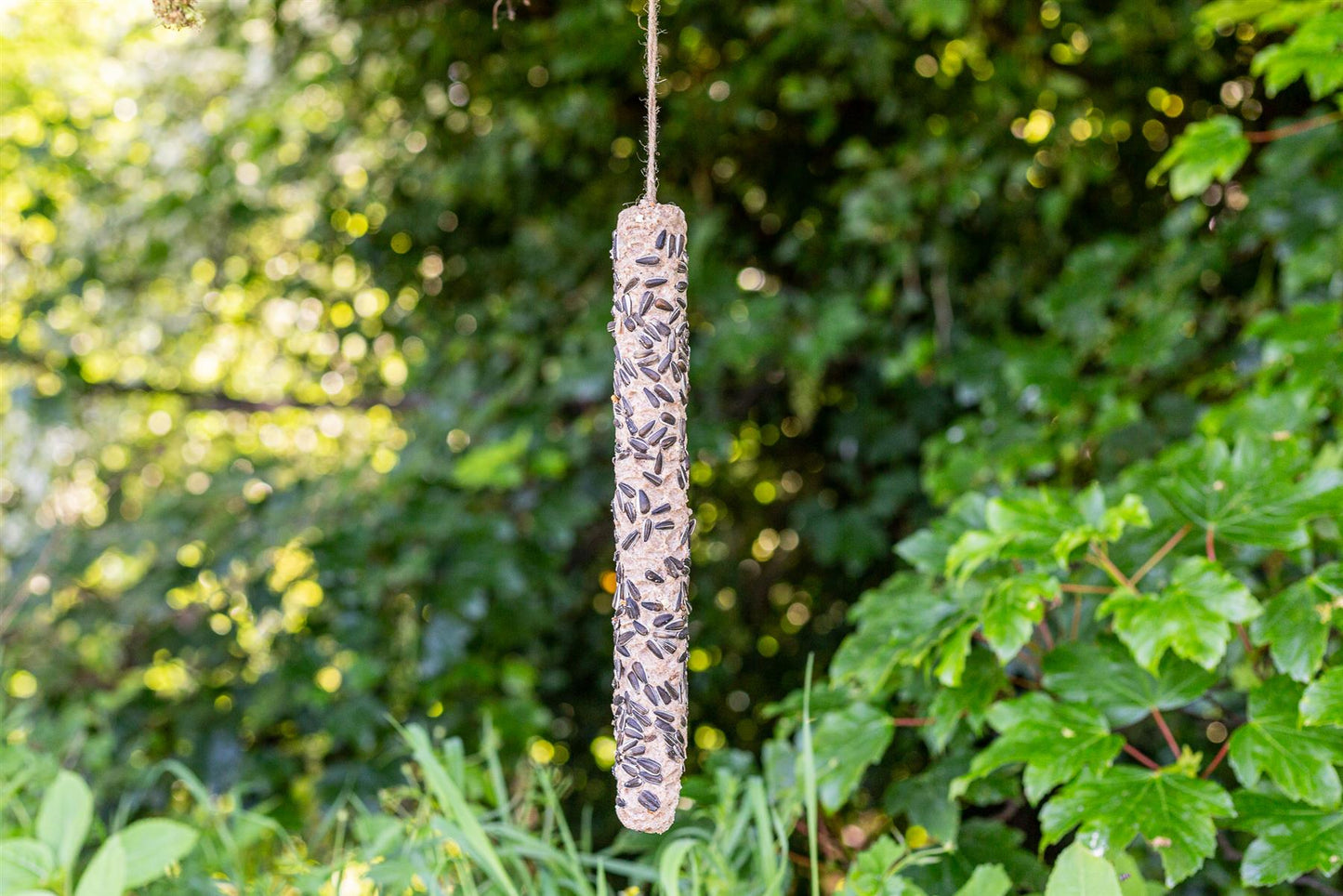 Chubby Extra Large Sunflower Seeds Suet Stick