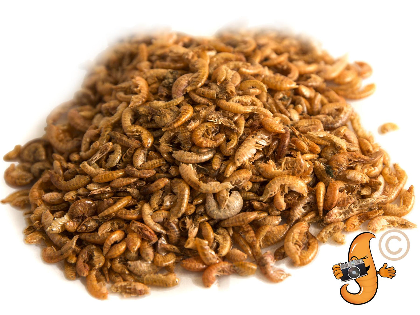 5kg Chubby Dried Gammarus
