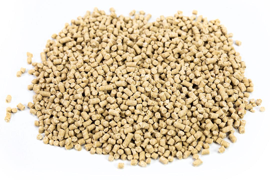12.75Kg Chubby High-Energy Seed & Insect Suet Pellets