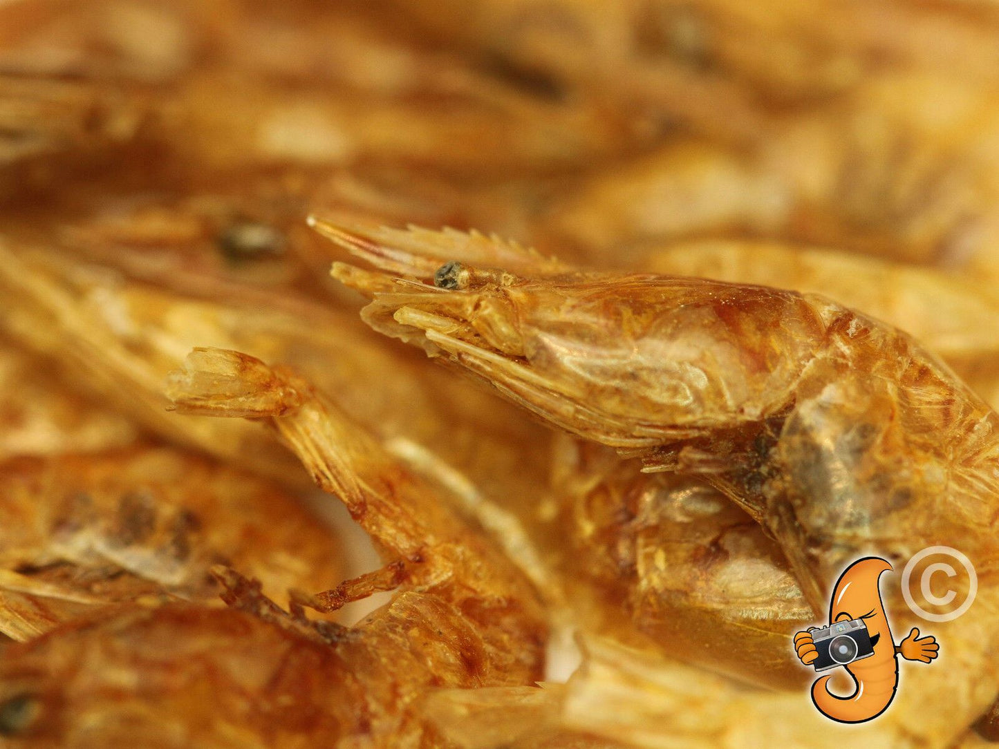 5Kg Dried Chubby River Shrimp
