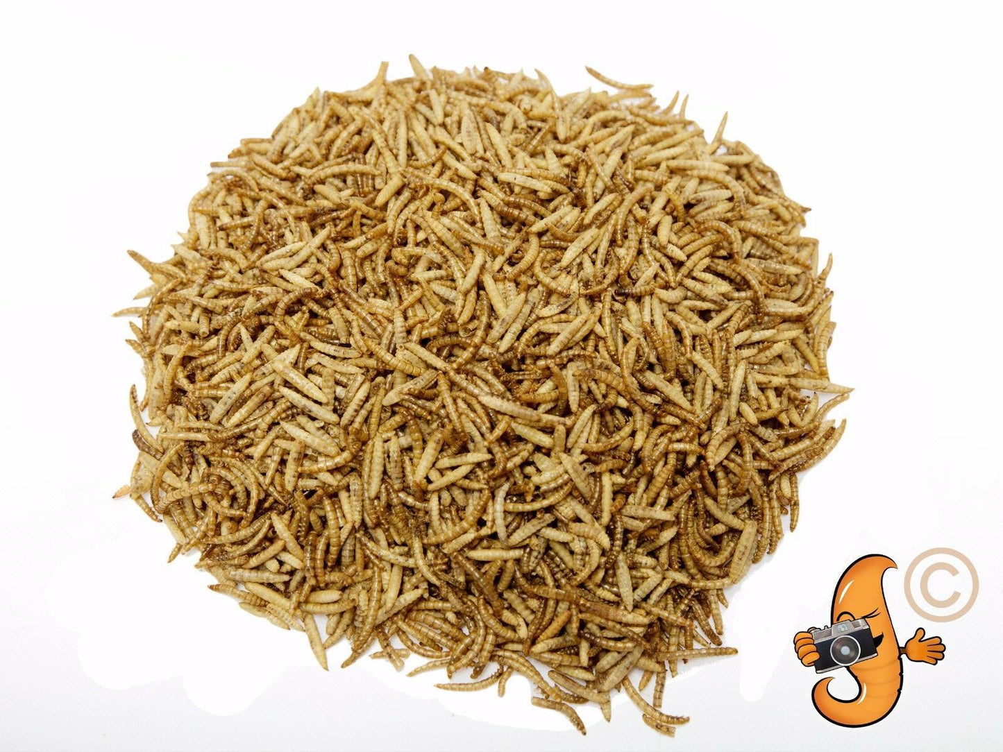 1Kg MIX - Mealworms & Calci Worms