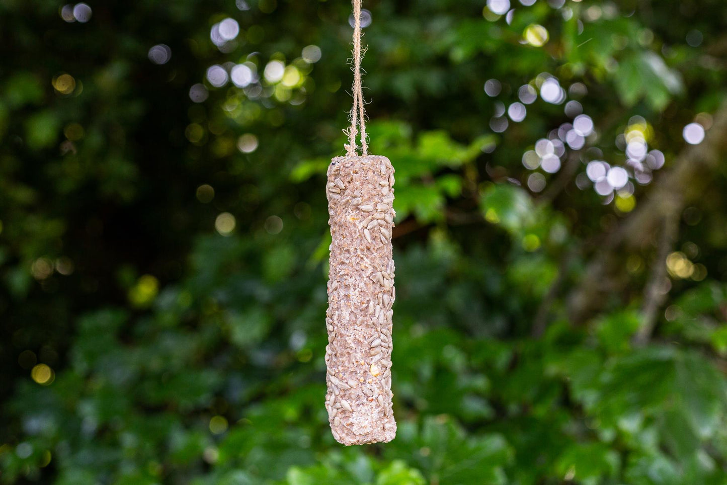 Chubby Medium Sunflower Hearts Suet Sticks