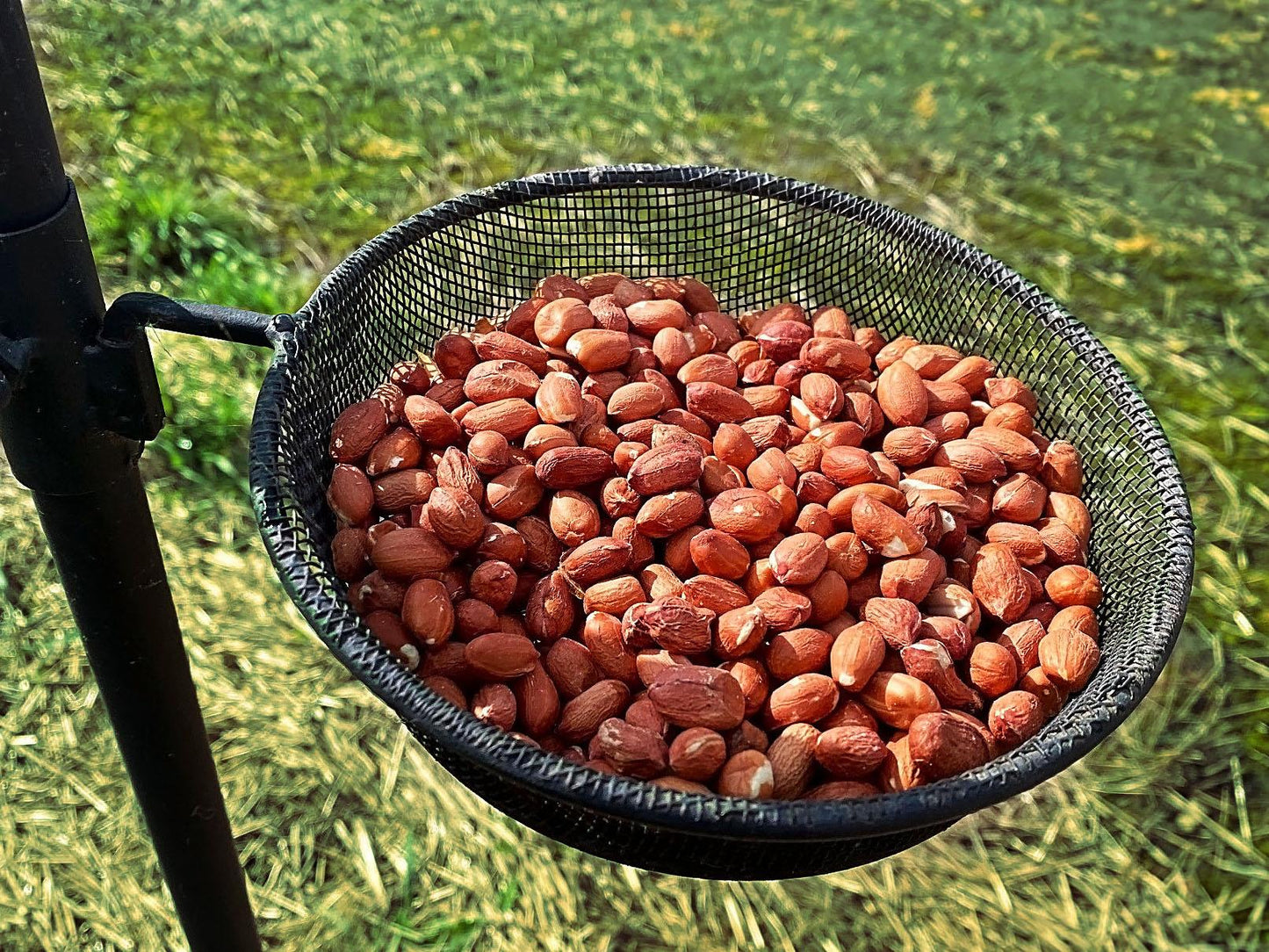 Chubby Value Whole Peanuts 25Kg