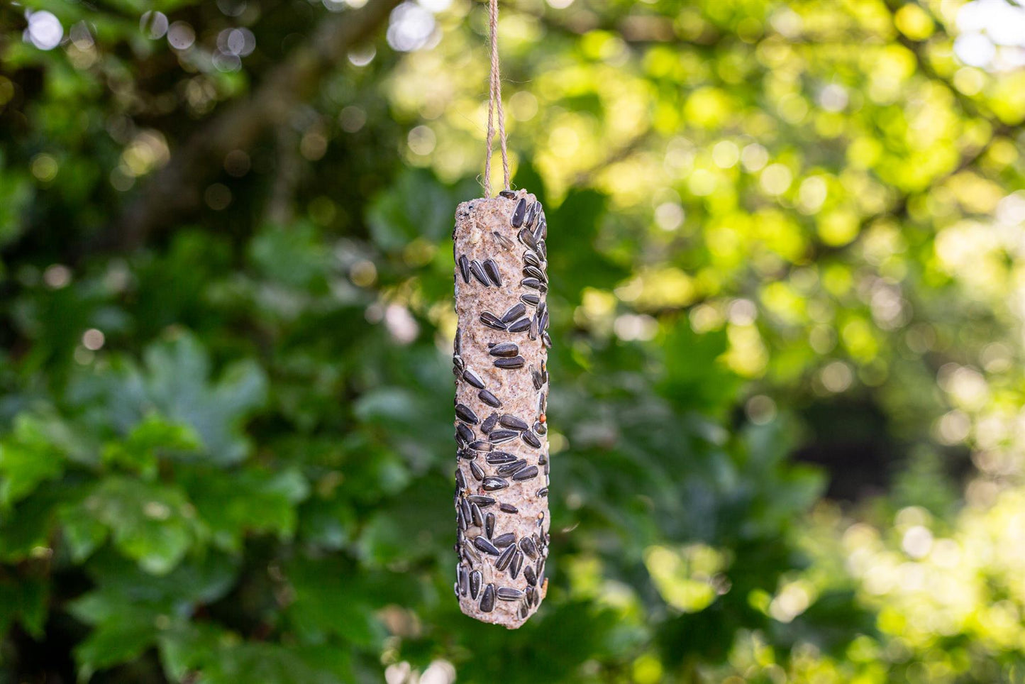 Chubby Medium Sunflower Seeds Suet Sticks