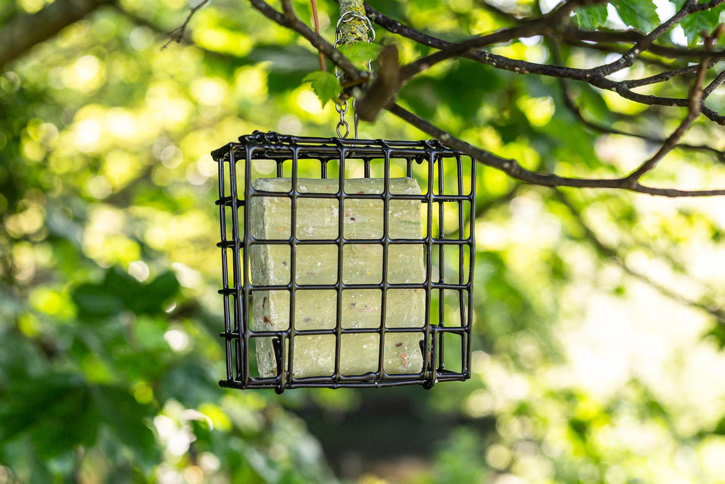 Chubby Metal Suet Block Feeder