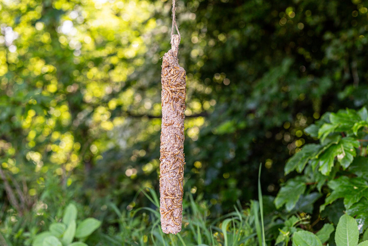 Chubby Extra Large Mealworm Suet Stick