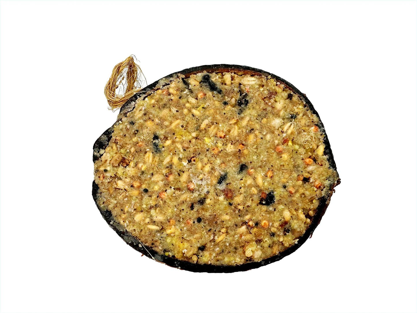 Chubby Sustainable Half Filled Coconut - Seed & Insect Oil