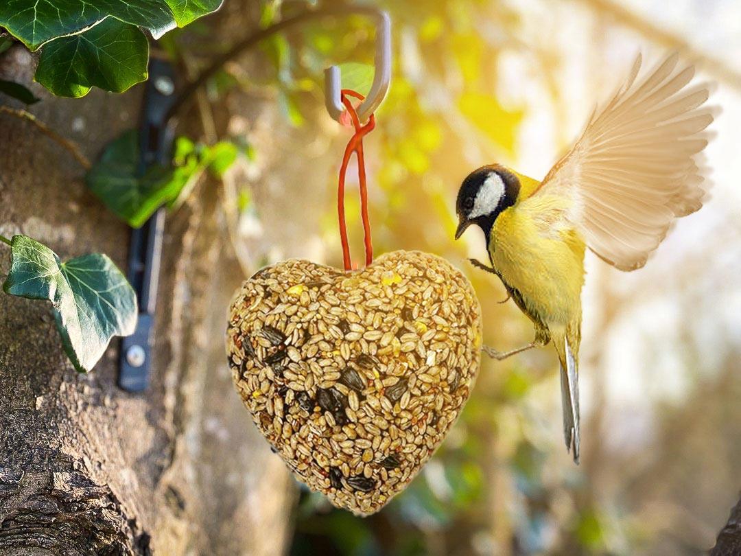 Box of 24 Chubby Seed Heart Hanger