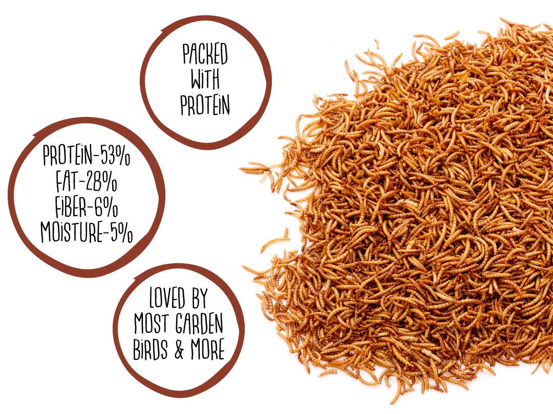 Chubby Pre-Filled Mealworm Recycled Feeder