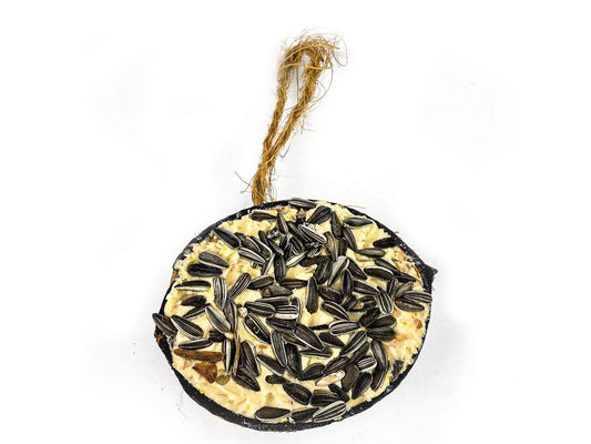 Chubby Half Filled Coconut -  Topped with Sunflower Seeds