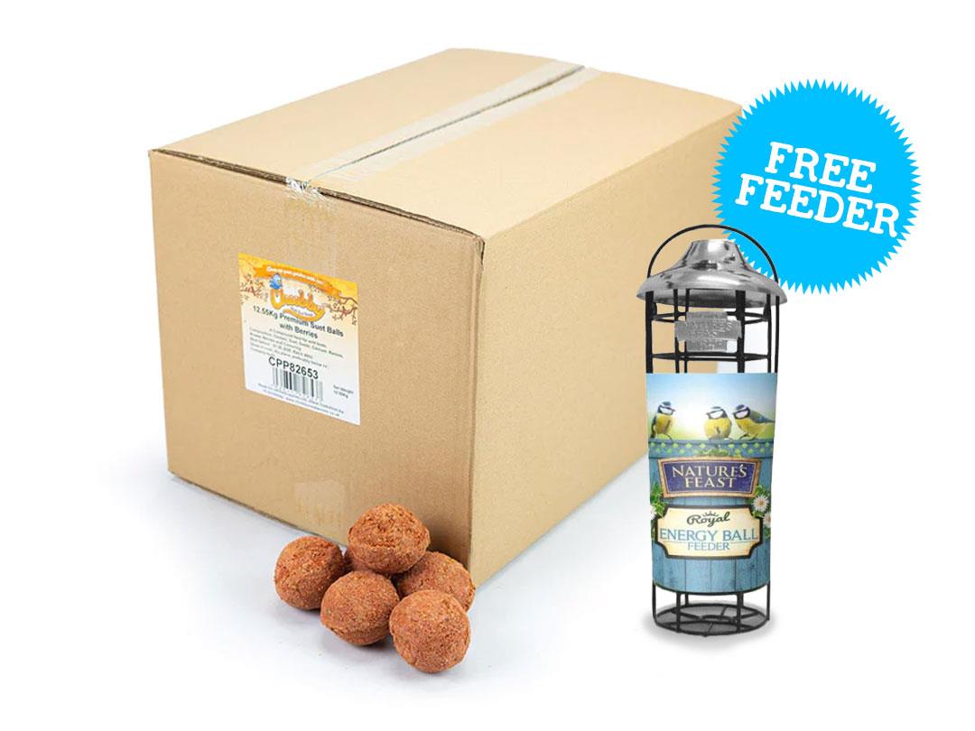 160 Chubby Premium Suet Balls with Berries 12.55kg