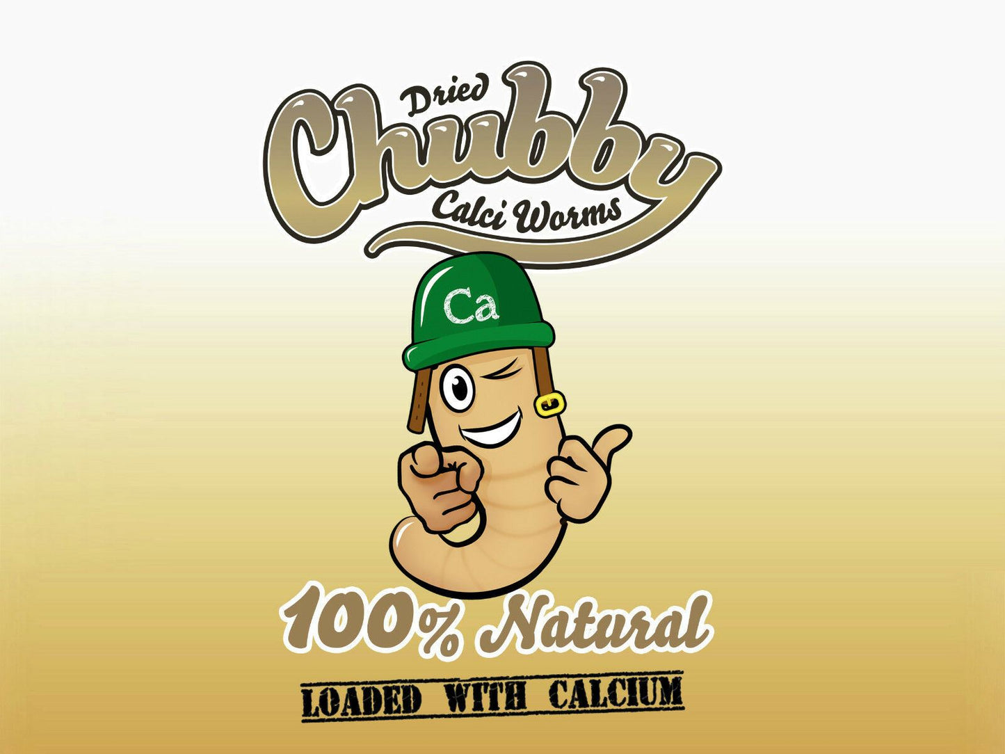 1Kg Chubby Dried Calciworms
