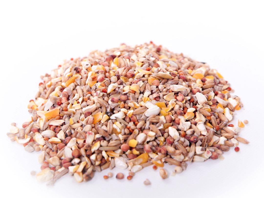Chubby Wild Bird Seed - Elite 2kg (Bio bag)