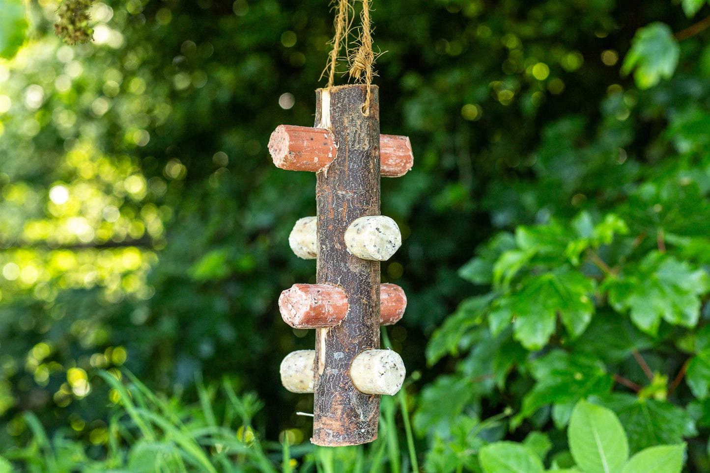 Chubby Berry Suet Logs 6 Pack