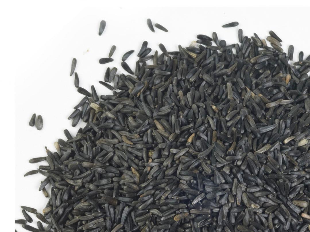 Chubby Nyjer Seed - 20kg
