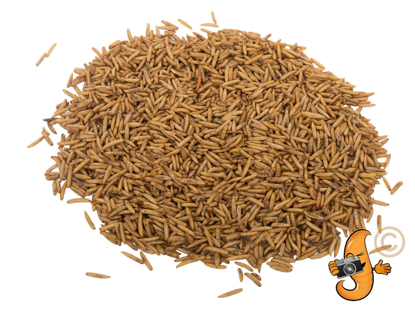 5Kg Chubby Dried Black Soldier Fly Larvae Tasty Hedgehog Treats