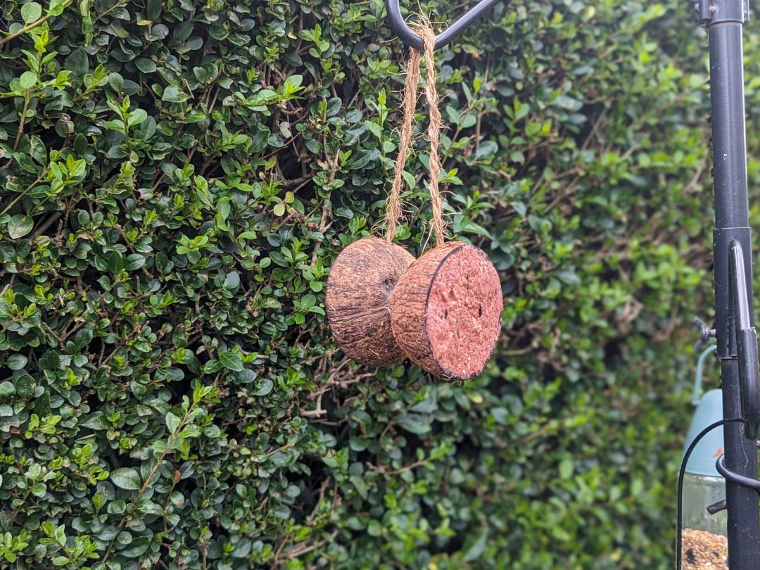 Chubby Dual Half Filled Coconut Feeder Mixed Seed & Berry