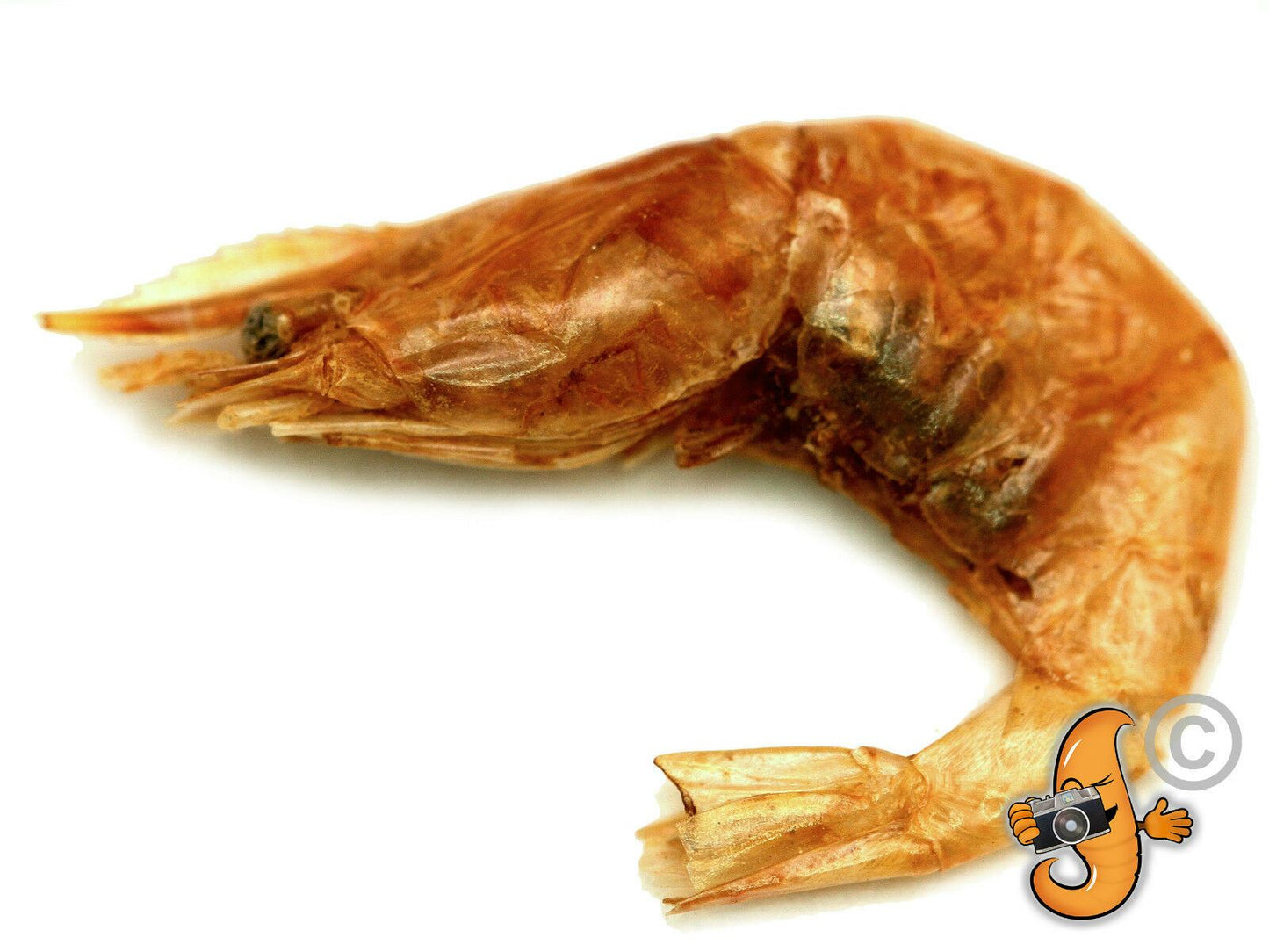 5Kg Dried Chubby River Shrimp