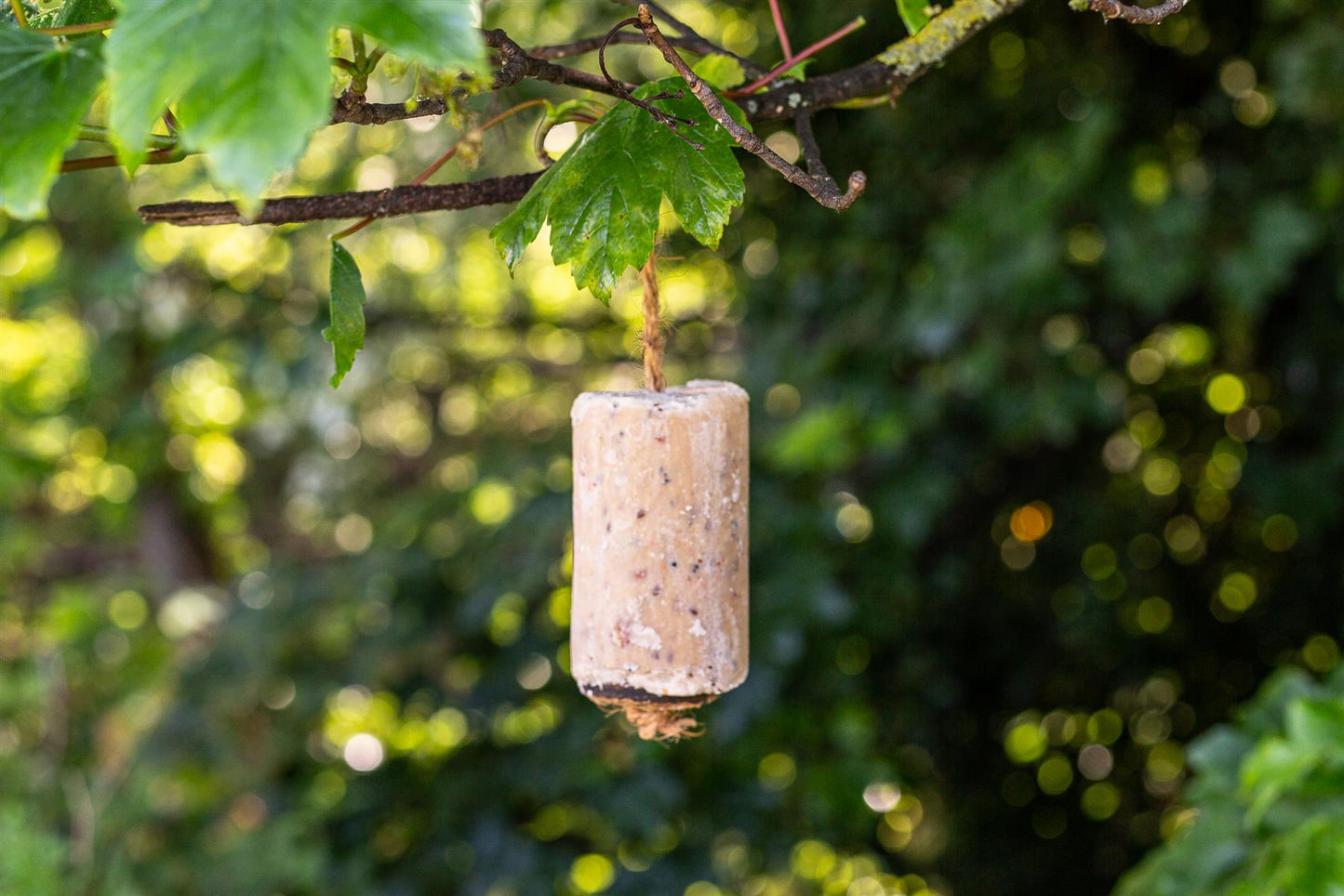 Chubby Suet Rolls - Peanut