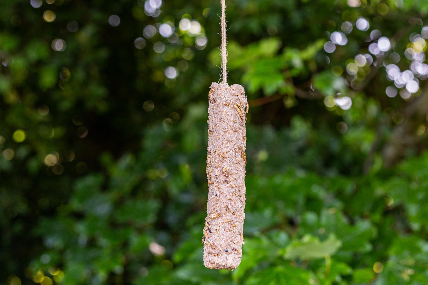 Chubby Medium Mealworm Suet Sticks
