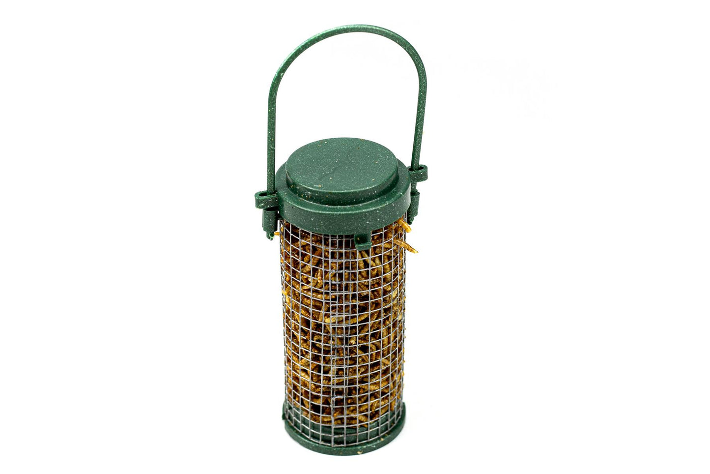 Chubby Pre-Filled Mealworm Recycled Feeder