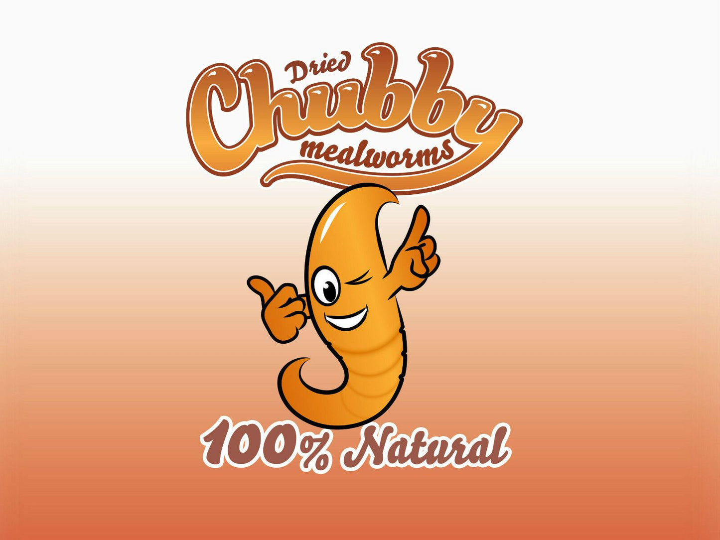 1 Litre Chubby Dried Mealworms
