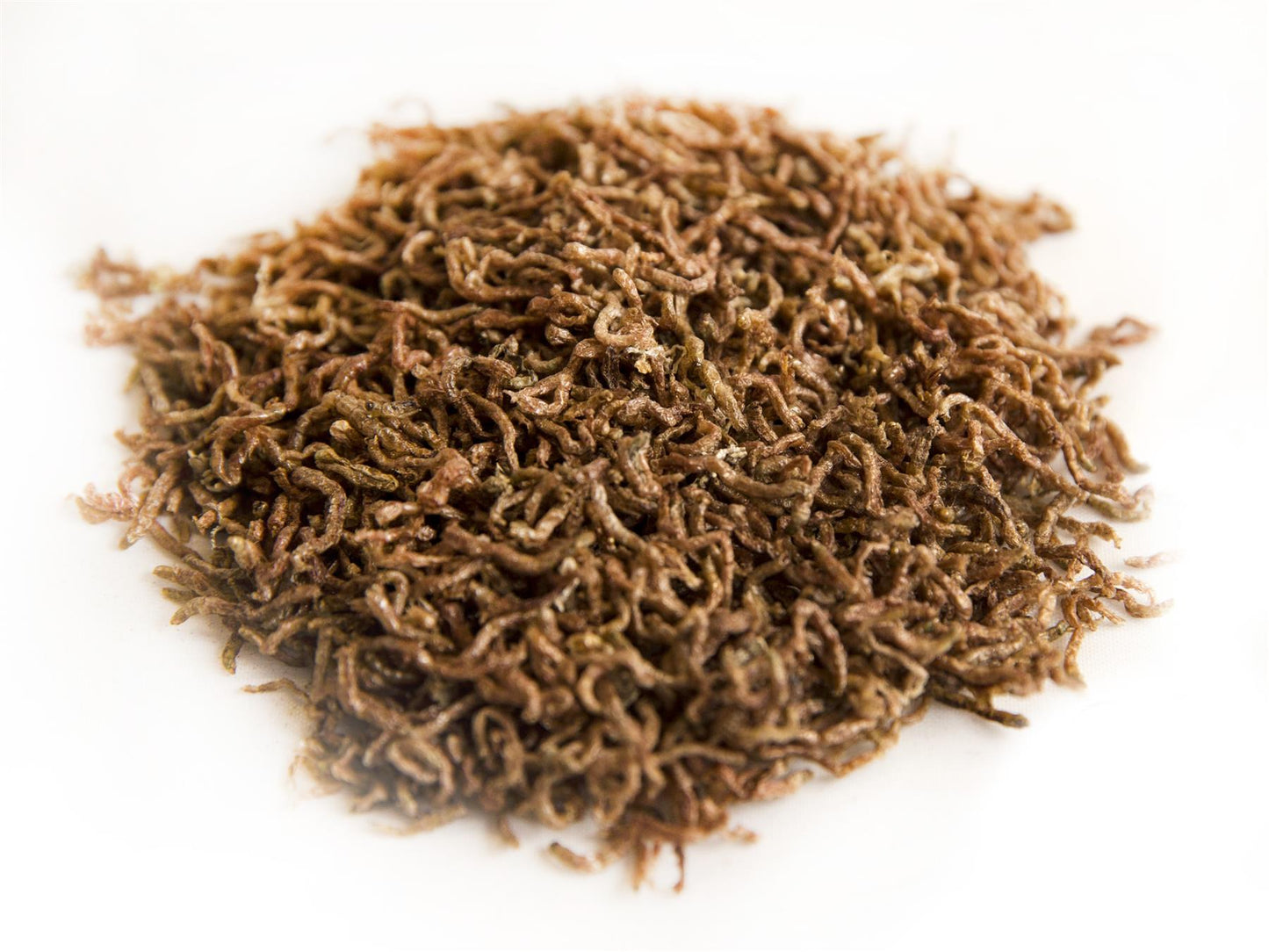 5Kg Chubby Freeze Dried Bloodworm
