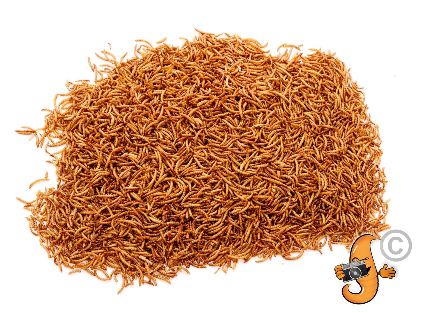 10 Litres Chubby Dried Mealworms (approx 1.85kg)
