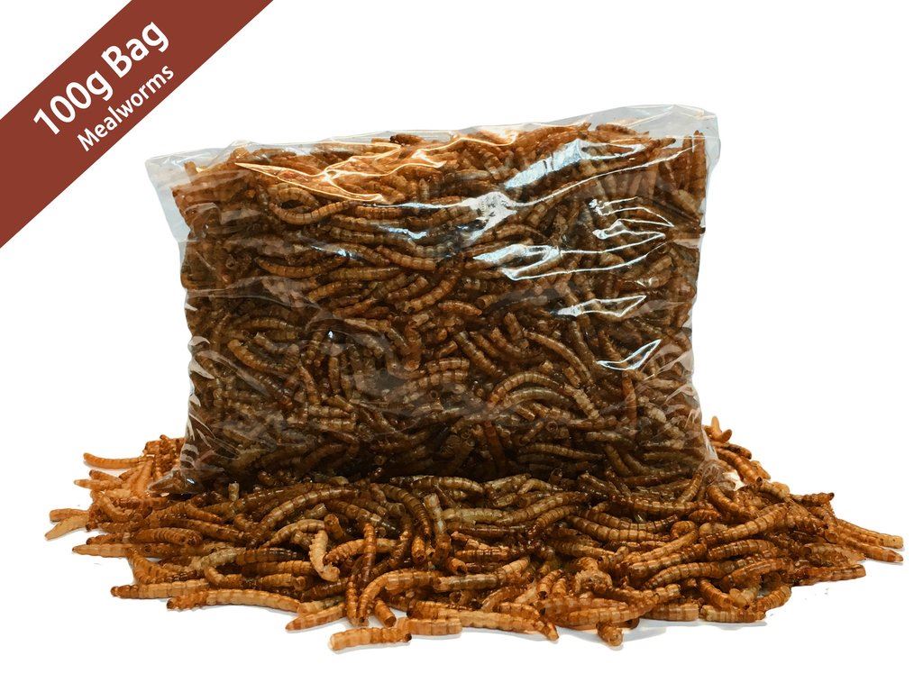 100g High Quality Dried Mealworms