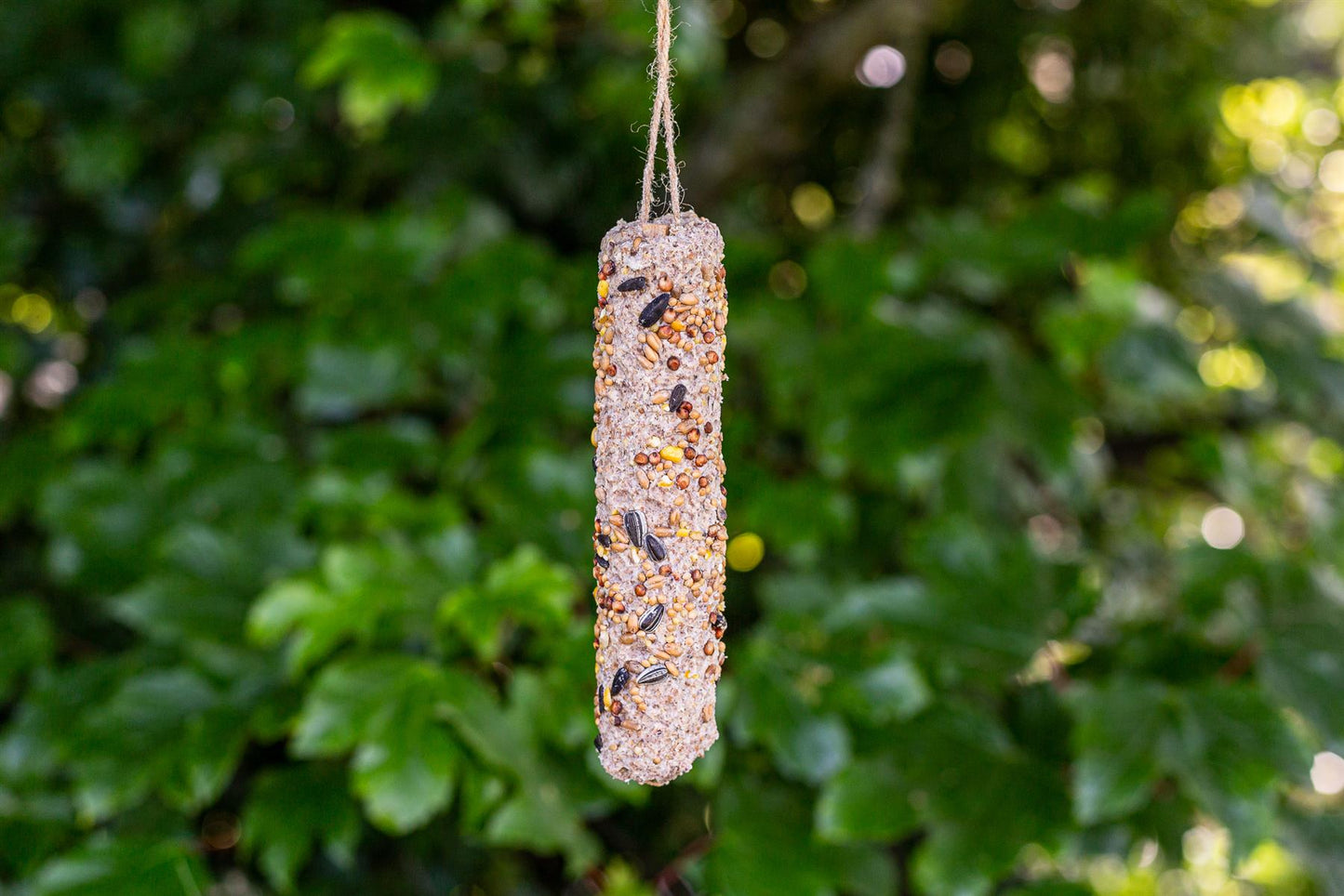 Chubby Medium Seed Mix Suet Sticks