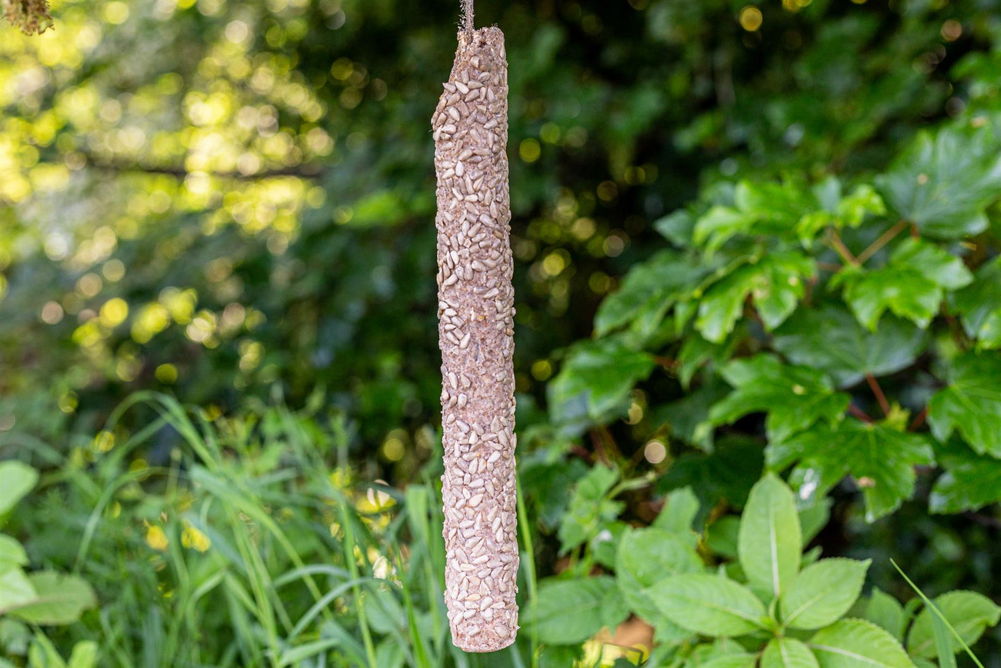 Chubby Extra Large Sunflower Hearts Suet Stick