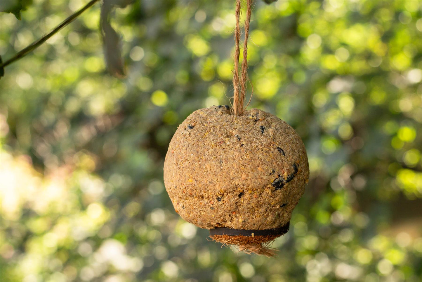 Chubby Sustainable Original Giant Premium Suet Balls