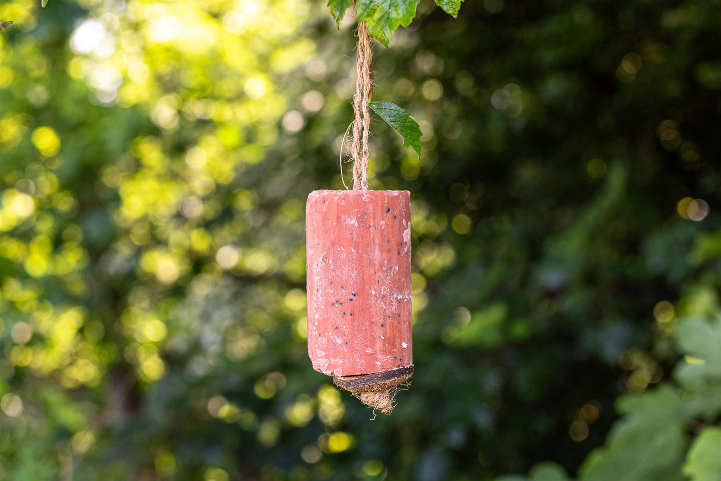 Chubby Suet Roll - Berry