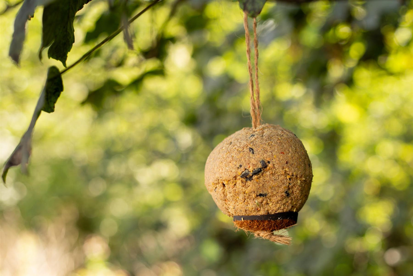 Chubby Sustainable Original Giant Premium Suet Balls