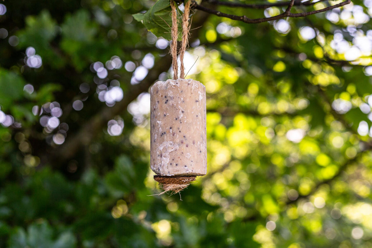 Chubby Suet Roll - Mealworm