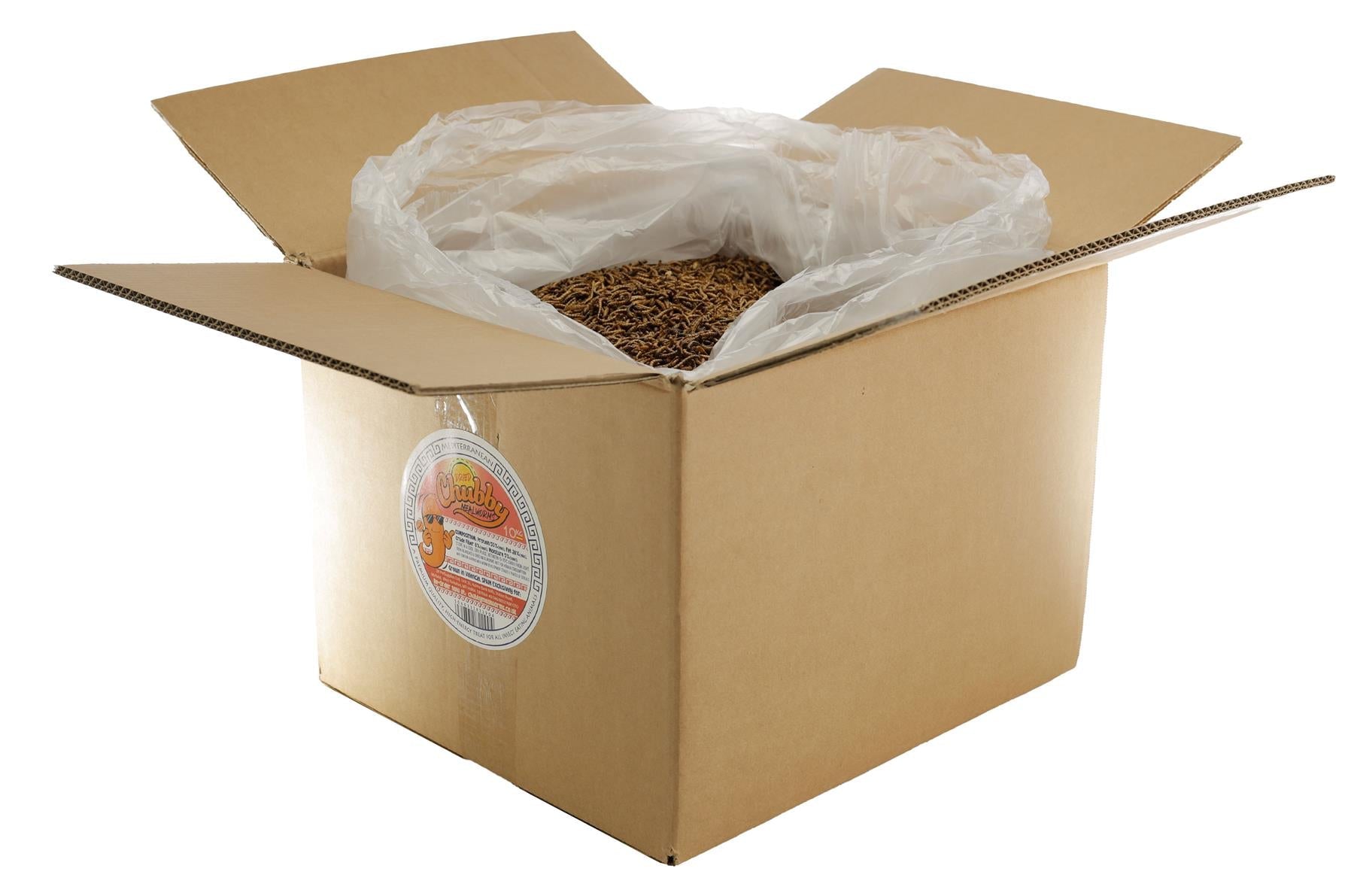 Chubby 10Kg EU Grown Mediterranean Mealworms Boxes