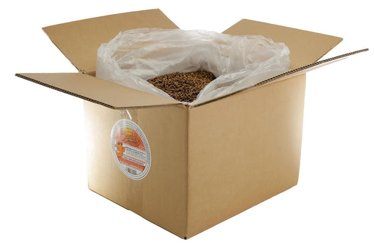 Chubby 10Kg EU Grown Mediterranean Mealworms Boxes