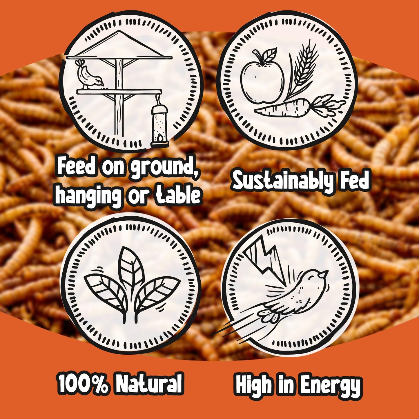 Chubby 10Kg EU Grown Mediterranean Mealworms