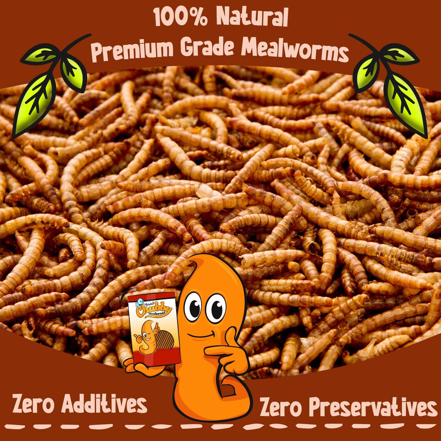 Chubby 10Kg EU Grown Mediterranean Mealworms